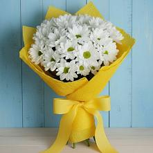 Букет цветов из:  Хризантемы в Красный Бор
