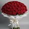 Букет 101 Красная роза Блэк Мэджик в Красный Бор
