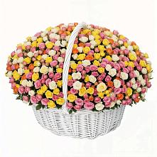 Премиум букет из: Розы в Красный Бор