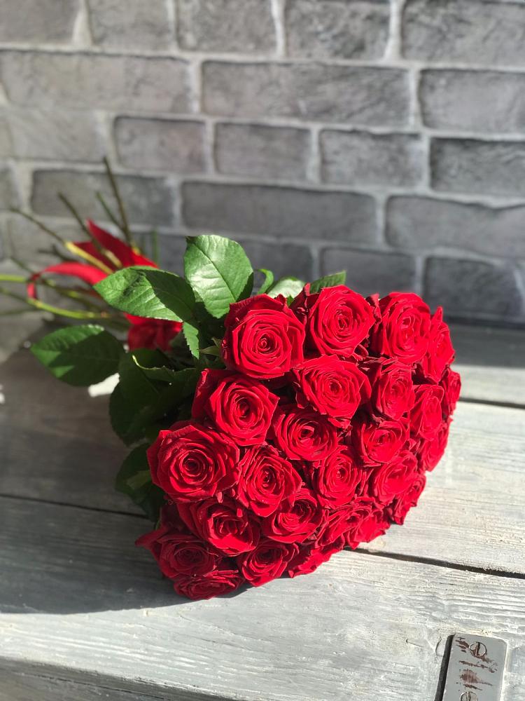 Букет Красные розы Фридом в Красный Бор