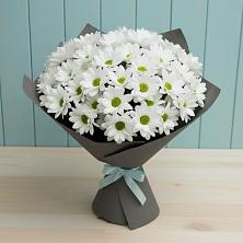 Букет цветов из:  Хризантемы в Красный Бор