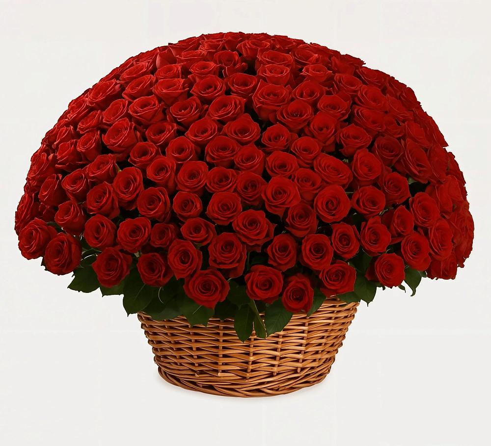 Премиум букет из: Розы в Красный Бор