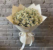 Букет цветов из:  Ромашки в Красный Бор