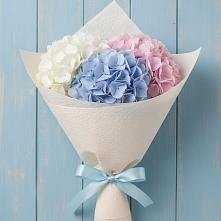 Букет цветов из:  Гортензия в Красный Бор