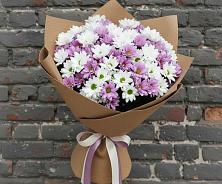 Букет цветов из:  Хризантемы #REPLACE_PRED# Красный Бор