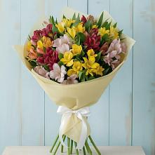 Букет цветов из:  Альстромерии в Красный Бор