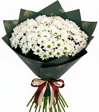 Букет цветов из:  Хризантемы в Красный Бор