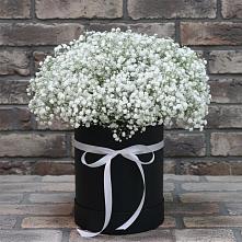 Цветочная композиция из Гипсофила в шляпной коробке #REPLACE_PRED# Красный Бор