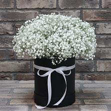 Цветочная композиция из Гипсофила в шляпной коробке в Красный Бор