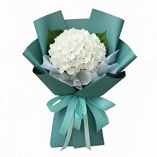 Букет цветов из:  Гортензия в Красный Бор